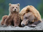 Фотография Чемборисова Михаила