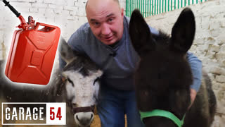 РАЗБАВИЛ БЕНЗИН ОСЛИНОЙ МОЧЕЙ - ЧТО БУДЕТ?
